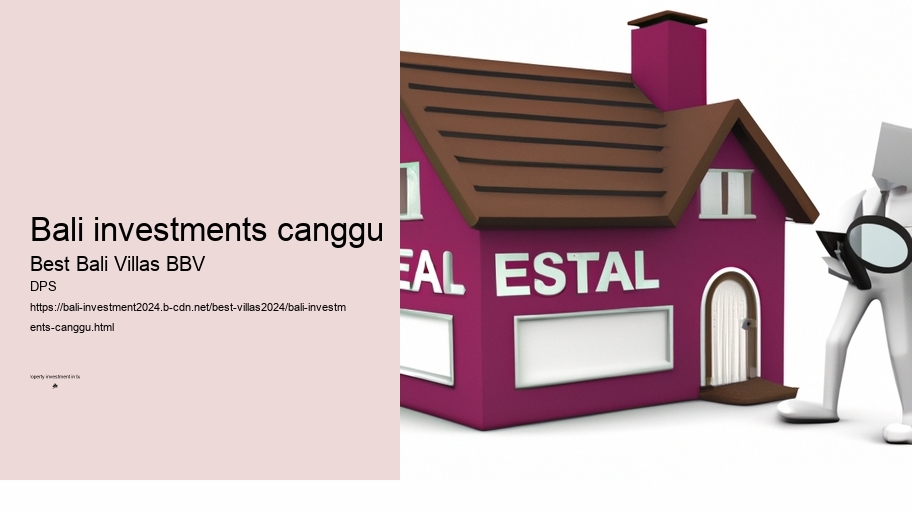 bali investments canggu